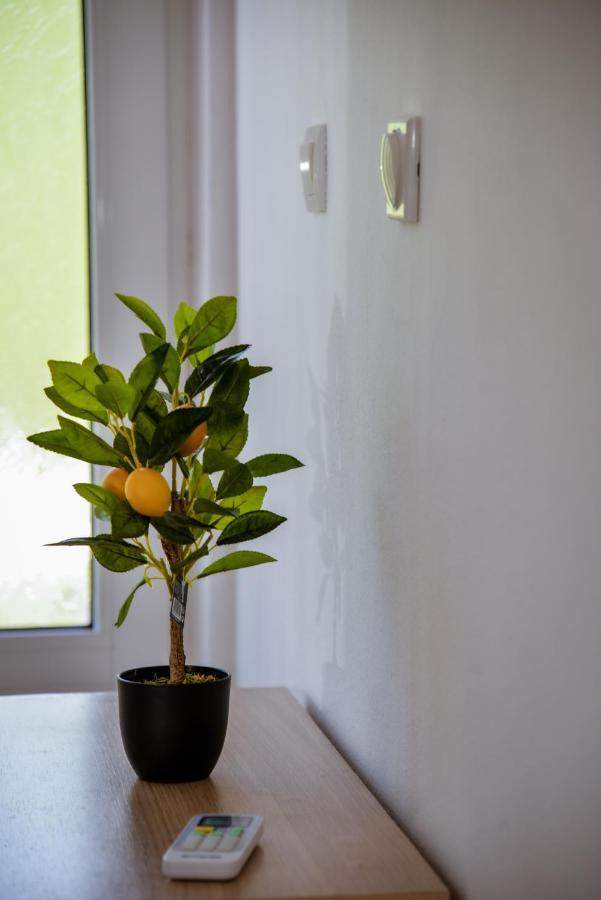 קוטור Apartment Nikola מראה חיצוני תמונה